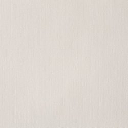 Dayline: Ivory or White